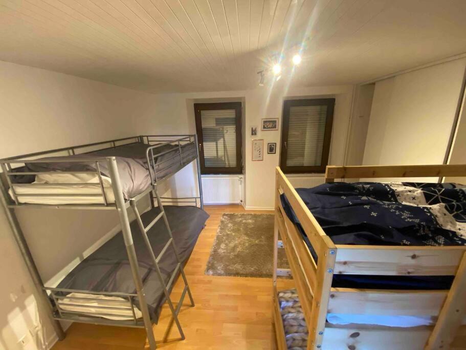 Appartement Emile Galle. Goetzenbruck Exterior foto
